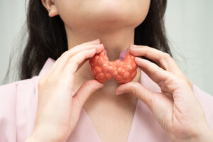 Mulher segurando um modelo anatômico da glândula tireoide sobre o pescoço. 